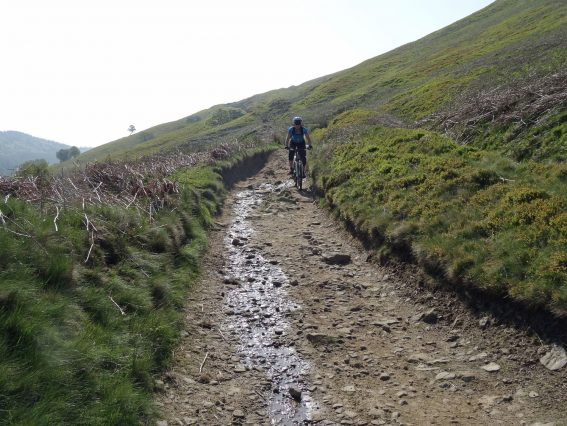 An adult biking down a bumpy trail