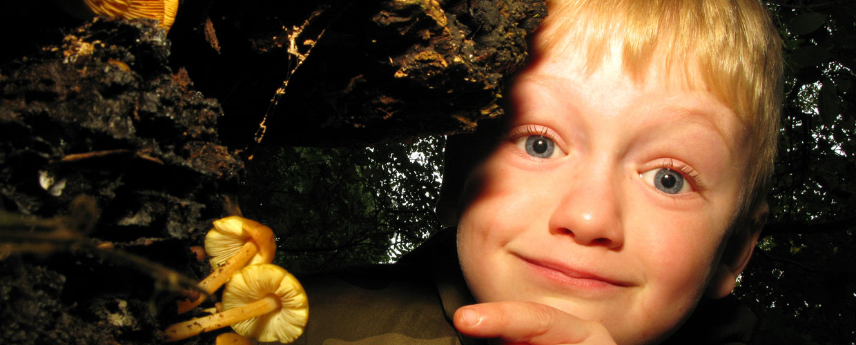 Child pointing at a mushroom