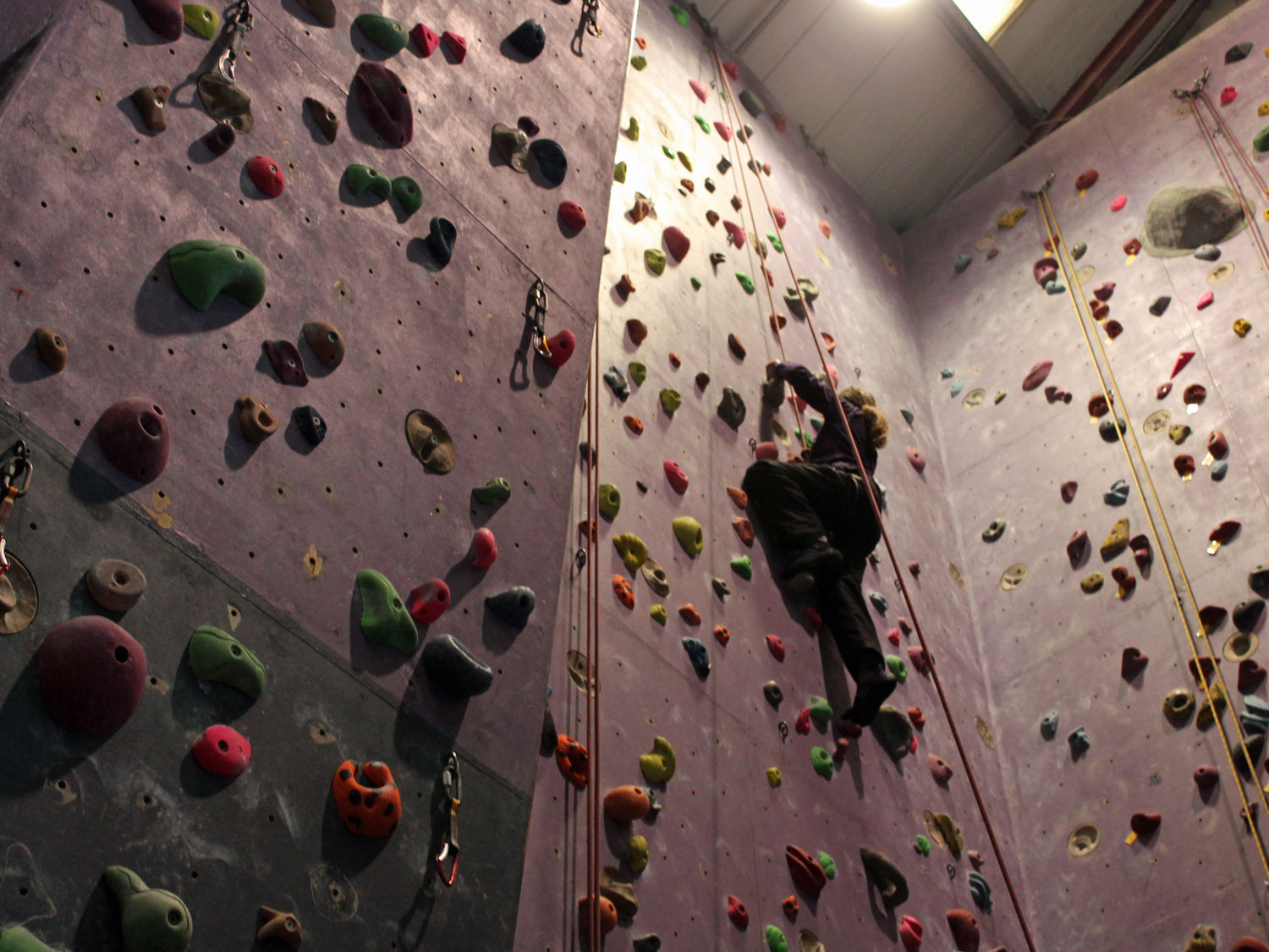 An adult on a climbing wall