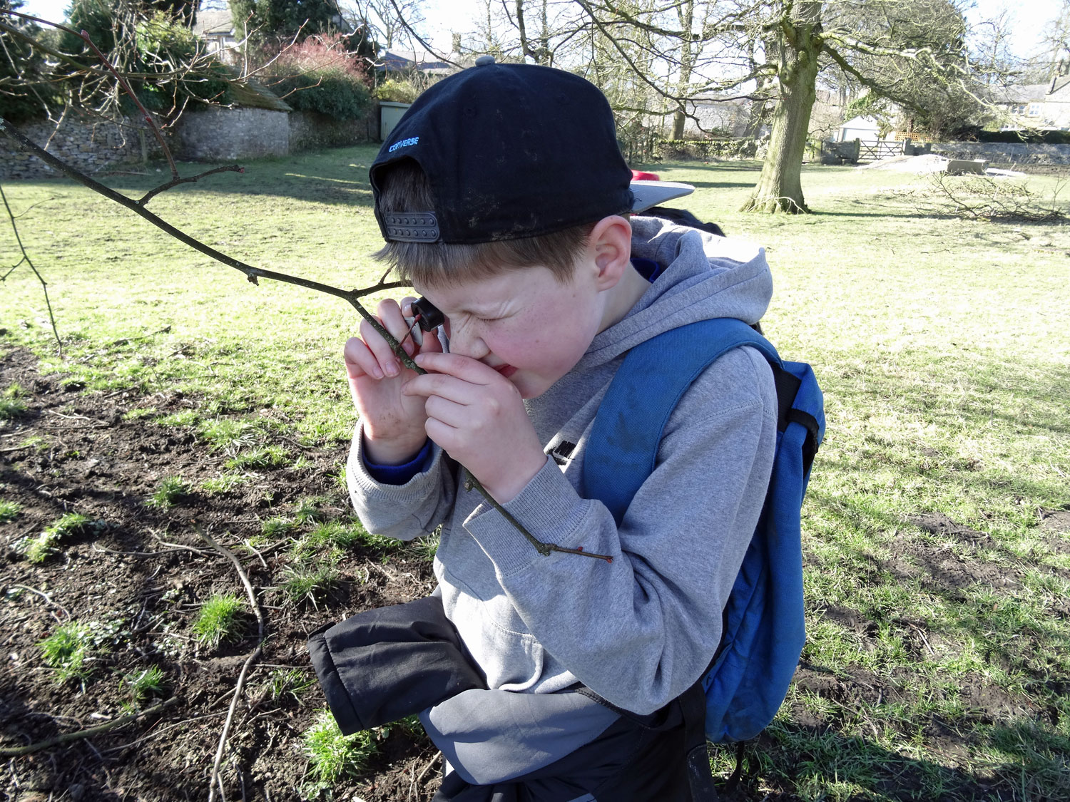 A pupil looking at a branch through a magnifing glass on a discover walk