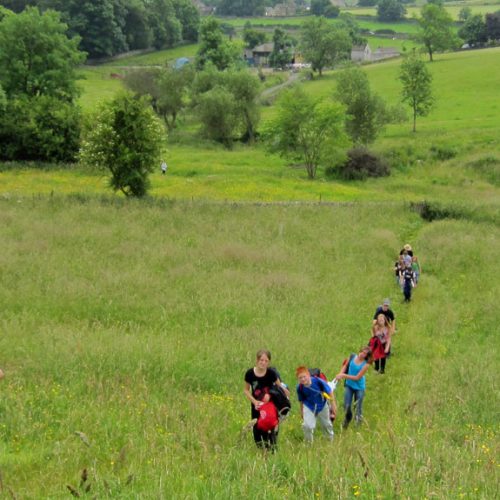 Pupils walking across a field