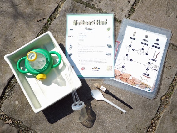 Mini beast hunt equipment (environmental activity)