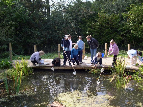 Pupils pond dipping environmental activity) at Thornbridge Outdoors