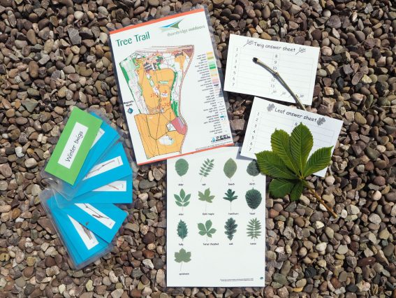 Resources for the tree trail (environmental activity) at Thornbridge Outdoors