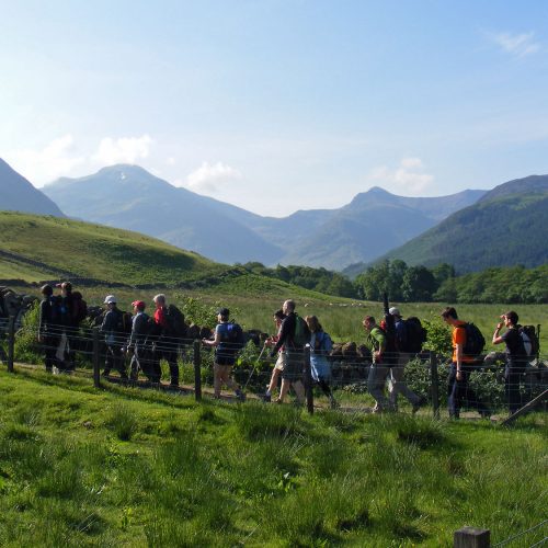 Adults walking up a hill