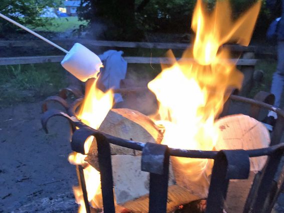 Marshmallows toasting on a campfire