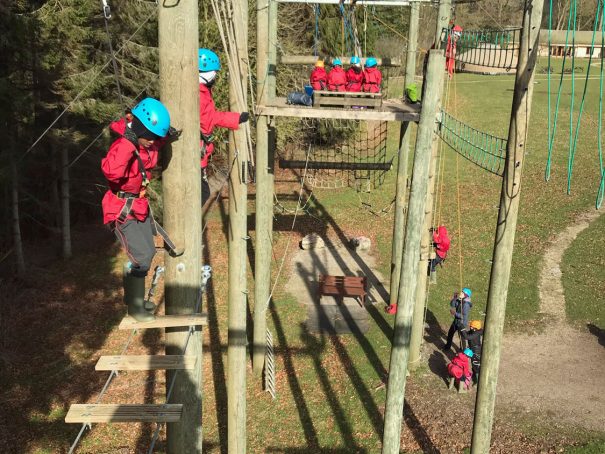 Photo taken from the top of the Sky Ropes on a sunny autumn day shows school children taking on the aerial challenge