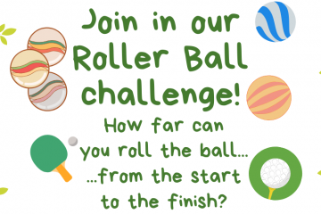 Activity Week 4 – Roller Ball
