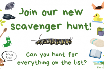 Activity Week 2 – Scavenger Hunt