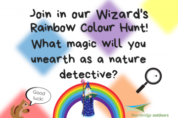 Activity Week 5 – Wizard’s Rainbow Colour Hunt