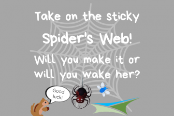 Activity Week 7 – Spider’s Web