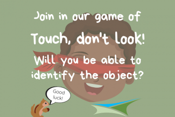 Activity Week 6 – Touch, don’t look!