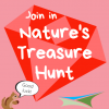 Activity 15 – Nature’s Treasure Hunt