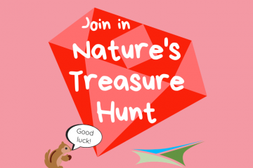 Activity 15 – Nature’s Treasure Hunt
