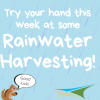 Activity 22 – Rainwater Harvesting