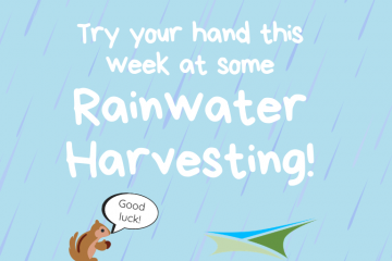 Activity 22 – Rainwater Harvesting